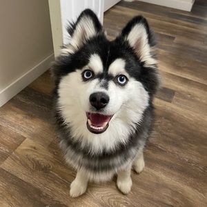 Meet your Posher, Savannah